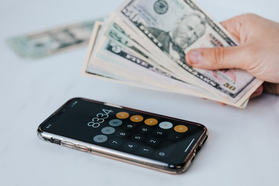 Person reviewing budget on smartphone