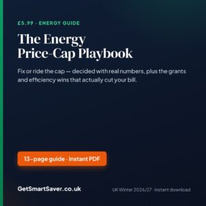 The Energy Price-Cap Playbook e-book cover